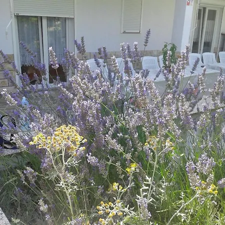 Lovely Marjetka 公寓