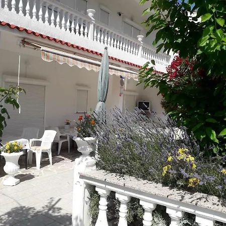 Lovely Marjetka Palit