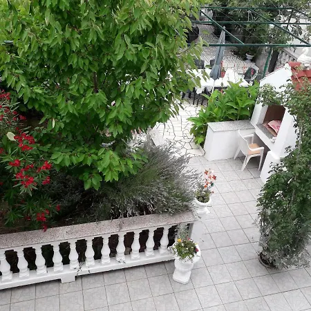 Lovely Marjetka Palit